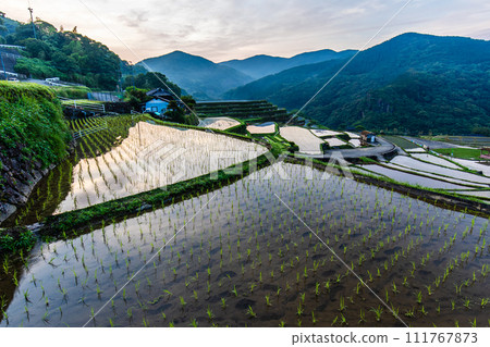 Onakao rice terraces, morning scenery filled with water at dawn [Nagasaki City] 111767873
