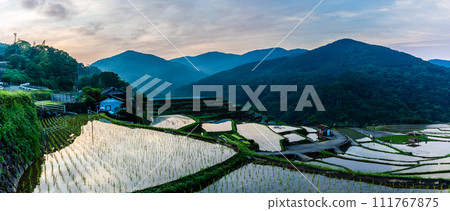 Onakao rice terraces, morning landscape filled with water at dawn, panorama [Nagasaki City] 111767875