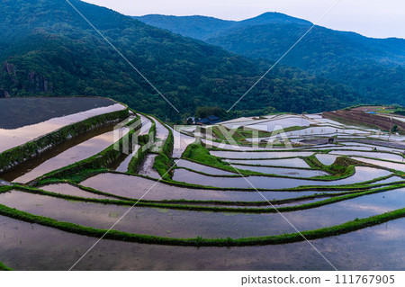 Onakao rice terraces, morning scenery filled with water at dawn [Nagasaki City] 111767905
