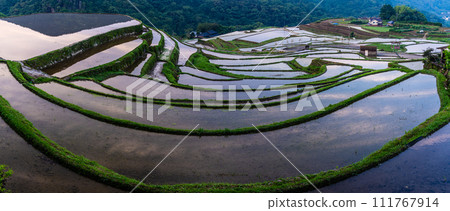 Onakao rice terraces, morning landscape filled with water at dawn, panorama [Nagasaki City] 111767914