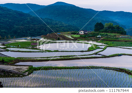 大中尾梯田，黎明時分充滿水的早晨景色[長崎市] 111767944