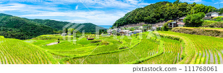 Onakao Rice Terrace Panorama after rice planting [Nagasaki City] 111768061