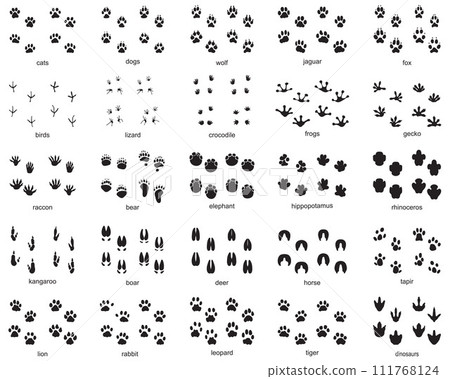 Set of footprints of wild animals, illustration of black silhouette 111768124