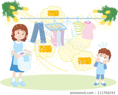 Cedar pollen_Parents and children suffering from runny noses wearing masks while drying laundry_Cedar flowers_Pollen text included 111768293