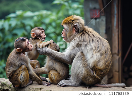 AI-generated content. Adult monkeys sits and eating banana fruit in the forest. Monkey forest, AI generated 111768589