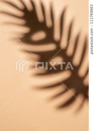 Shadows from palm leaves Shadows from palm leaves 111768663