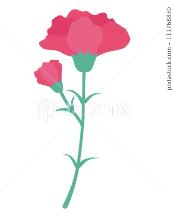 mother's day carnation flower illustration 111768830