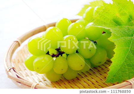 Shine Muscat Shine Muscat 111768850