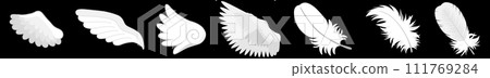 Angel's Feather Set 111769284