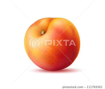 Realistic isolated ripe peach fruit. 3d vector juicy and fragrant fruit offers luscious sweetness and hint of tartness. Succulent and refreshing summer treat with velvety flesh, bursting with flavor Realistic isolated ripe peach fruit. 3d vector juicy and fragrant fruit offers luscious sweetness and hint of tartness. Succulent and refreshing summer treat with velvety flesh, bursting with flavor 111769361