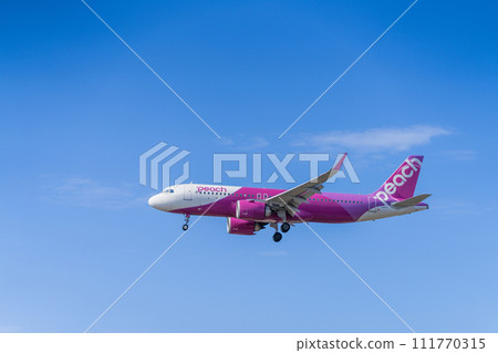 [Airplane] Airbus Airbus A320neo Family A320neo (A320-251N) 111770315