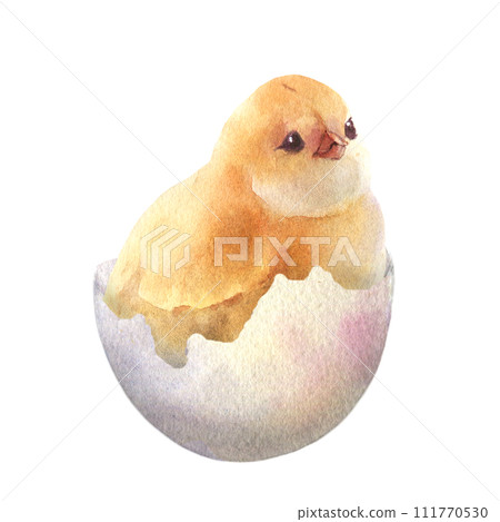 Watercolor illustration of a fluffy chicken in the cracked egg hand painted. The symbol of spring, new life, nature's awakening and Easter celebration Watercolor illustration of a fluffy chicken in the cracked egg hand painted. The symbol of spring, new life, nature's awakening and Easter celebration 111770530