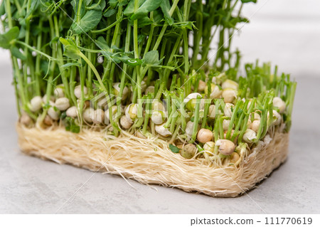 Ideal for themes of healthy eating, organic gardening, and farm-to-table cooking 111770619