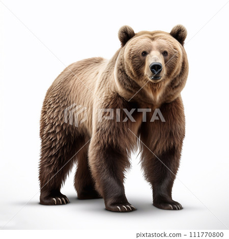 Beautiful wild beast bear looking forward is shown in full length, Ai generated 111770800