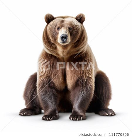 Beautiful wild beast bear looking forward is shown in full length, Ai generated 111770806