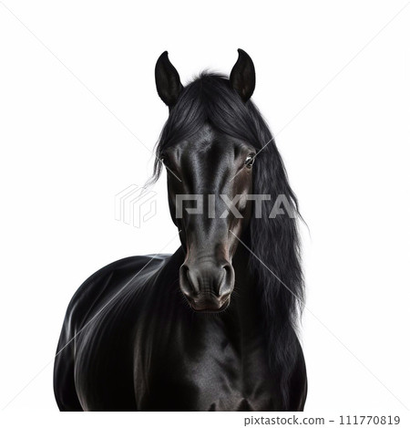 Beautiful big beast horse looking forward is shown in full length, Ai generated 111770819