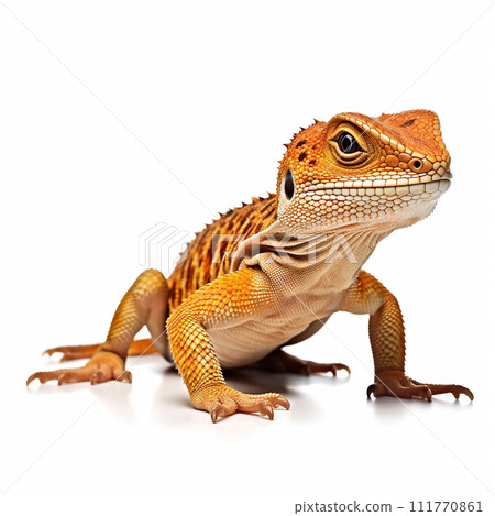 Beautiful big beast lizard looking forward is shown in full length, Ai generated 111770861