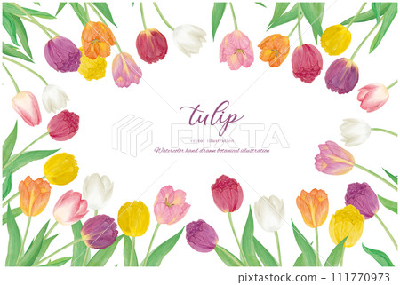 Watercolor hand drawn colorful tulip frame material 111770973