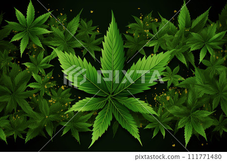 Banner consisting from traditional species marijuana in leaves, Ai generated Banner consisting from traditional species marijuana in leaves, Ai generated 111771480