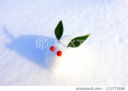 雪兔 雪雕兔 兔 兔 111771696