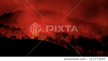 Forest was engulfed in flames turning the sky and surrounding area a fiery red. 111771697