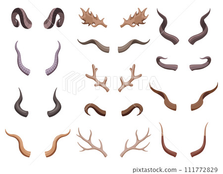 Horns set. Hunting trophys. Vector horned wild animals. Pairs of antlers. Vector illustration of hunted animals, wildlife decoration concept Horns set. Hunting trophys. Vector horned wild animals. Pairs of antlers. Vector illustration of hunted animals, wildlife decoration concept 111772829
