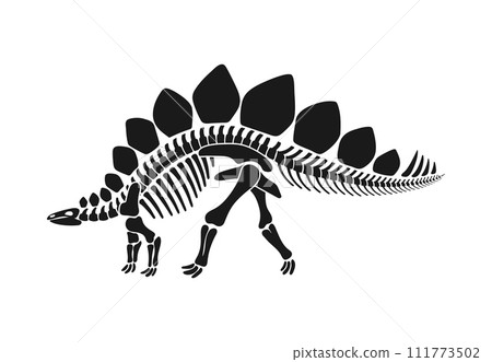 Isolated stegosaurus dinosaur skeleton fossil, dino bones black vector silhouette with distinct plates and spiked tail. Herbivorous prehistoric creature anatomy for educational paleontology materials 111773502