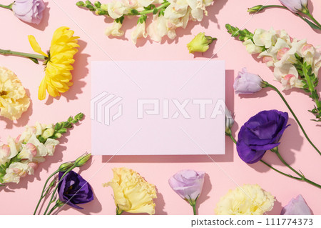 Beautiful, pink flowers on a white background. 111774373