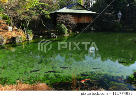 [兵庫縣] 陽光相樂園 111774983