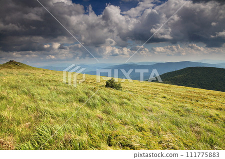 Nature. Field mountain landscape in the summer 111775883