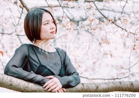 Young woman looking at cherry blossoms Young woman looking at cherry blossoms 111776200