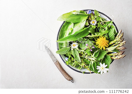 Spring food plants Spring food plants 111776242