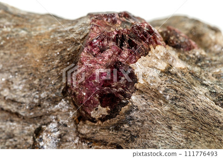 Macro stone Garnet mineral in rock on a white background 111776493