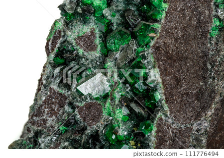 Macro stone garnet mineral, Uvarovite in rock on a white background Macro stone garnet mineral, Uvarovite in rock on a white background 111776494