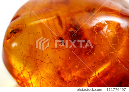 Macro stone mineral amber with insects, flies and beetles on a white background close up 111776497