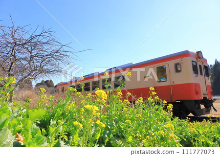 夷隅鐵道“二月中旬初春花開的鐵路沿線風景” 111777073