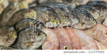 Fresh catch raw fish market showing fresh fish eyes 111777083