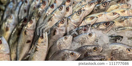 Fresh catch raw fish market showing fresh fish eyes 111777086
