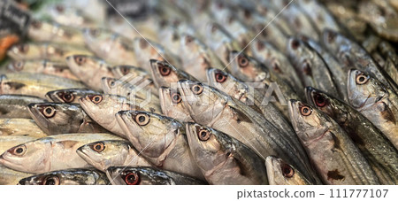 Fresh catch raw fish market showing fresh fish eyes 111777107