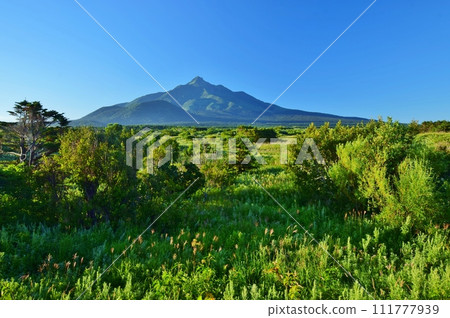 利尻島夏日風光 111777939