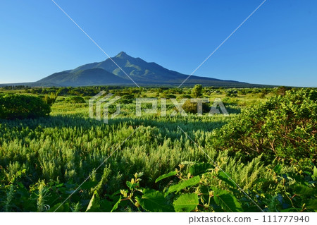 利尻島夏日風光 111777940