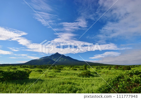 利尻島夏日風光 111777948