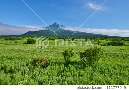利尻島夏日風光 111777949