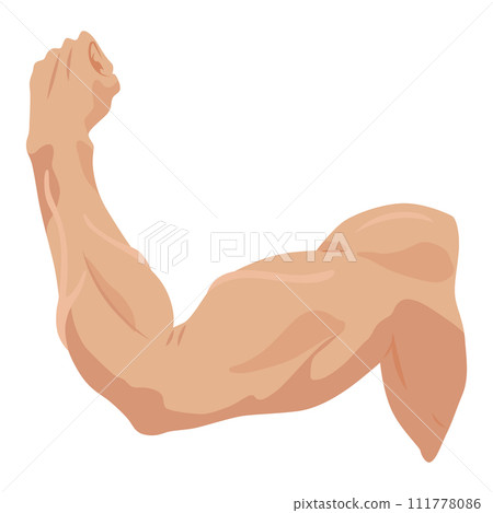Male biceps muscles icons set. Sportsman arm with strong biceps. Vector symbol of healthy power. Athletic body with tense muscles hand isolated onwhite background Male biceps muscles icons set. Sportsman arm with strong biceps. Vector symbol of healthy power. Athletic body with tense muscles hand isolated onwhite background 111778086