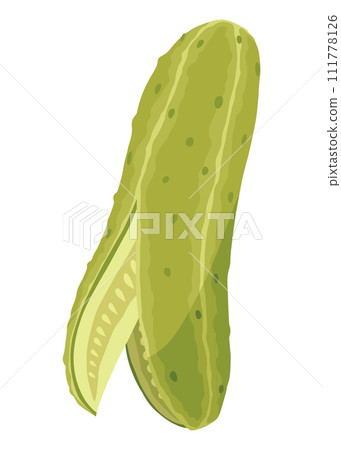 Homemade pickled cucumber. Clip-art of marinated food for packaging, label, menu, signboard or showcase. Fermented veggies, crunch gherkin with salt. Healthy vegetarian food Homemade pickled cucumber. Clip-art of marinated food for packaging, label, menu, signboard or showcase. Fermented veggies, crunch gherkin with salt. Healthy vegetarian food 111778126