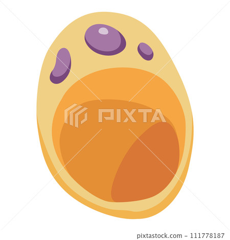 Human cell type icon. Medicine and biology illustrative symbol. Health, anatomy and science. Biology vector isolated on white background 111778187