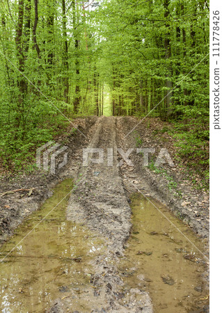 Puddles on dirt road in the green forest Puddles on dirt road in the green forest 111778426
