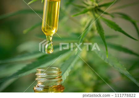 CBD Hemp oil, droplet of Cannabis oil against Marijuana plant. Medical marijuana, alternative medicine. Oil extracts in a bottle, selective focus 111778822