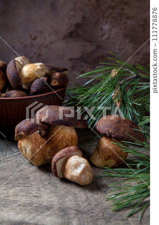 Imleria Badia or Boletus badius mushrooms commonly known as the bay bolete and clay bowl with mushrooms on vintage wooden background.. Imleria Badia or Boletus badius mushrooms commonly known as the bay bolete and clay bowl with mushrooms on vintage wooden background.. 111778876