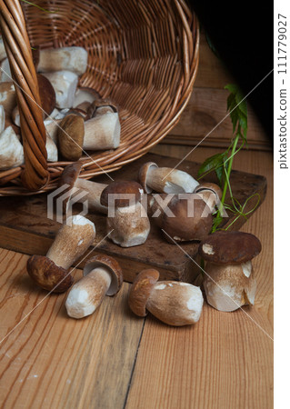 Pile of wild porcini mushrooms on wooden background at autumn season.. 111779027